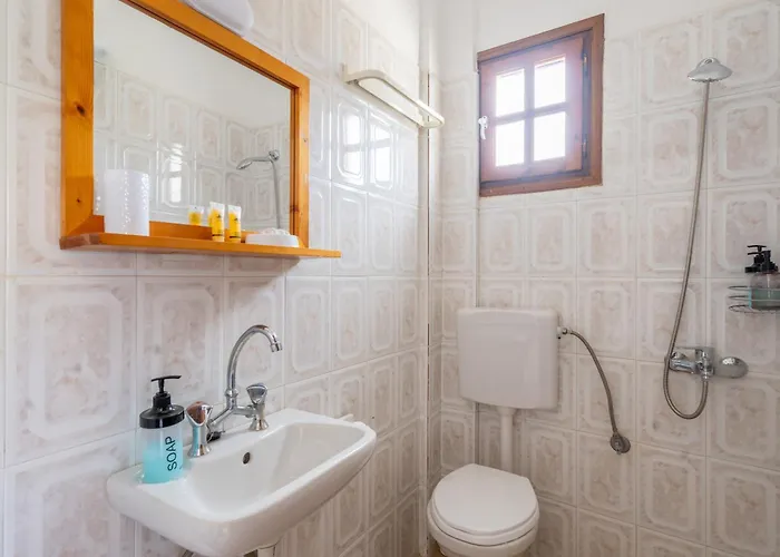 Casa de hóspedes Despoina Potami 3*